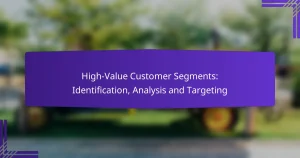 High-Value Customer Segments: Identification, Analysis and Targeting