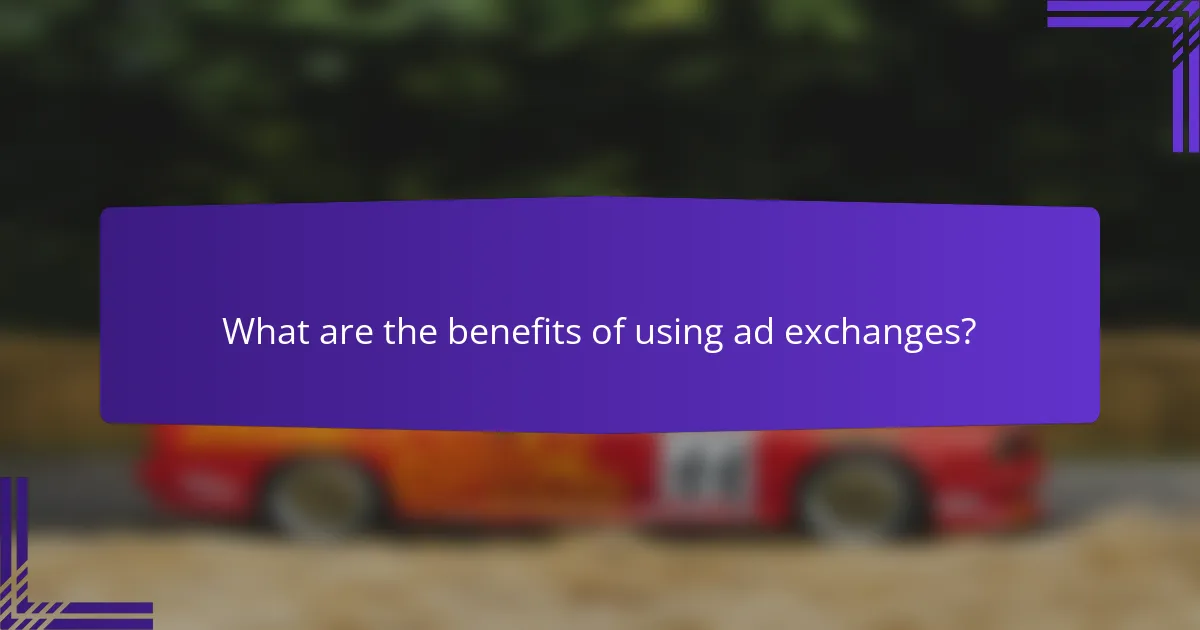 What are the benefits of using ad exchanges?