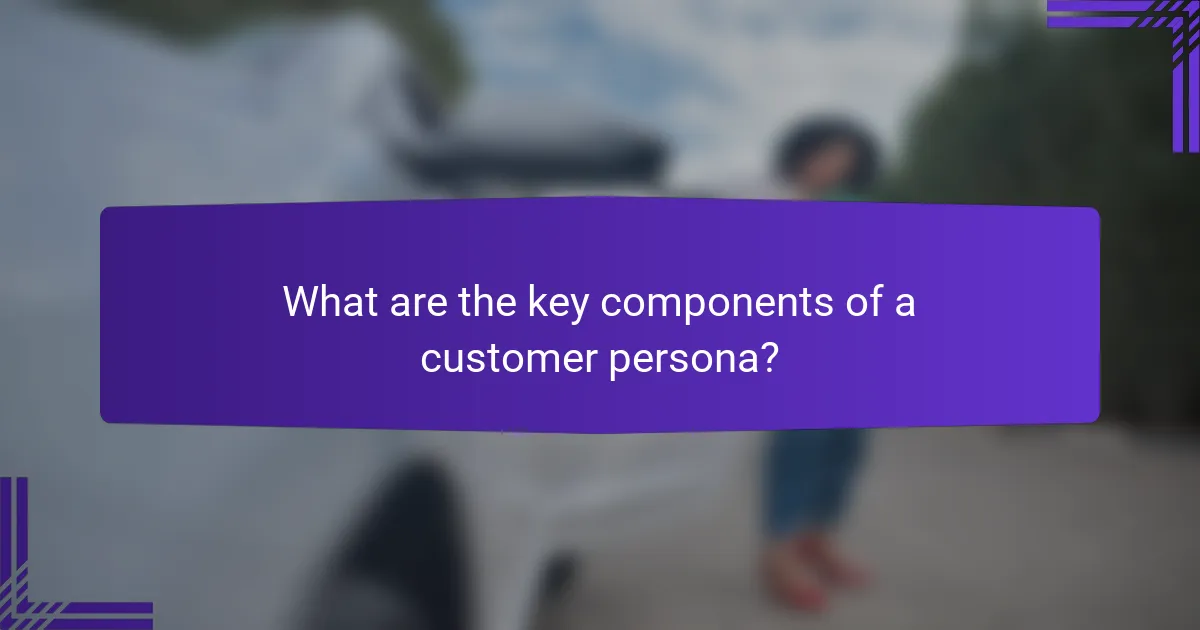 What are the key components of a customer persona?