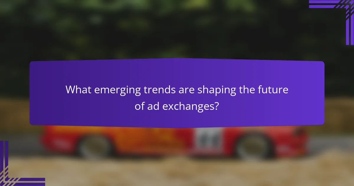What emerging trends are shaping the future of ad exchanges?